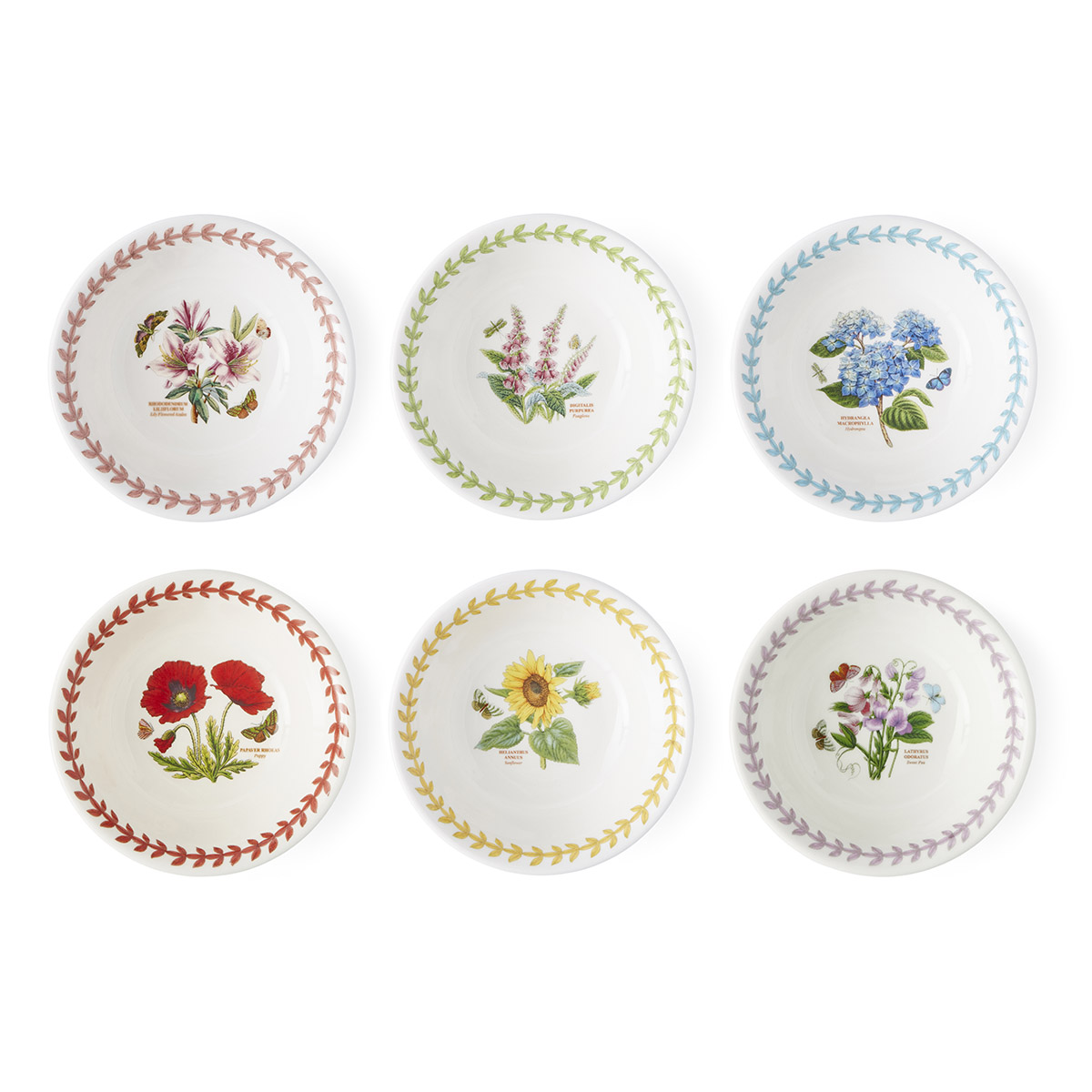 Botanic Garden Meadow Mini Bowl 13cm Set of 6 image number null